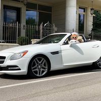 021Кабриолет Mercedes SLK 250 аренда про