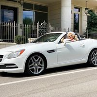 021Кабриолет Mercedes SLK 250 аренда про